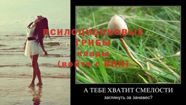 jwh Лиски